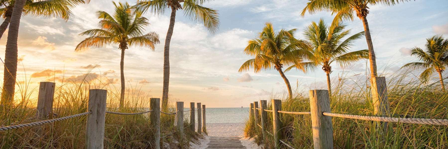 Bone Grafting and Sinus Lifts | 