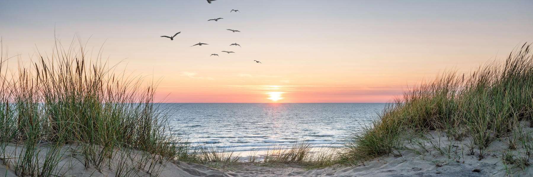 Dentures and Partials | 